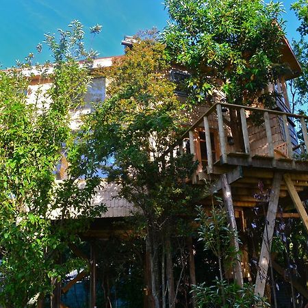 La Casa Del Árbol De Chiloé Villa Castro Kamer foto
