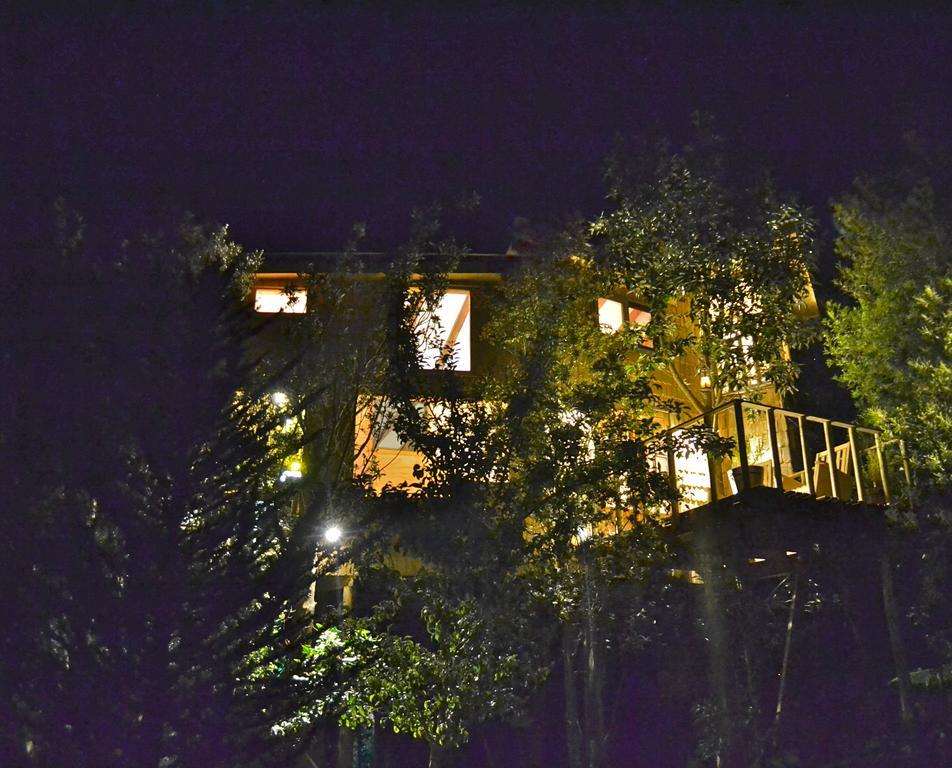 La Casa Del Árbol De Chiloé Villa Castro Buitenkant foto