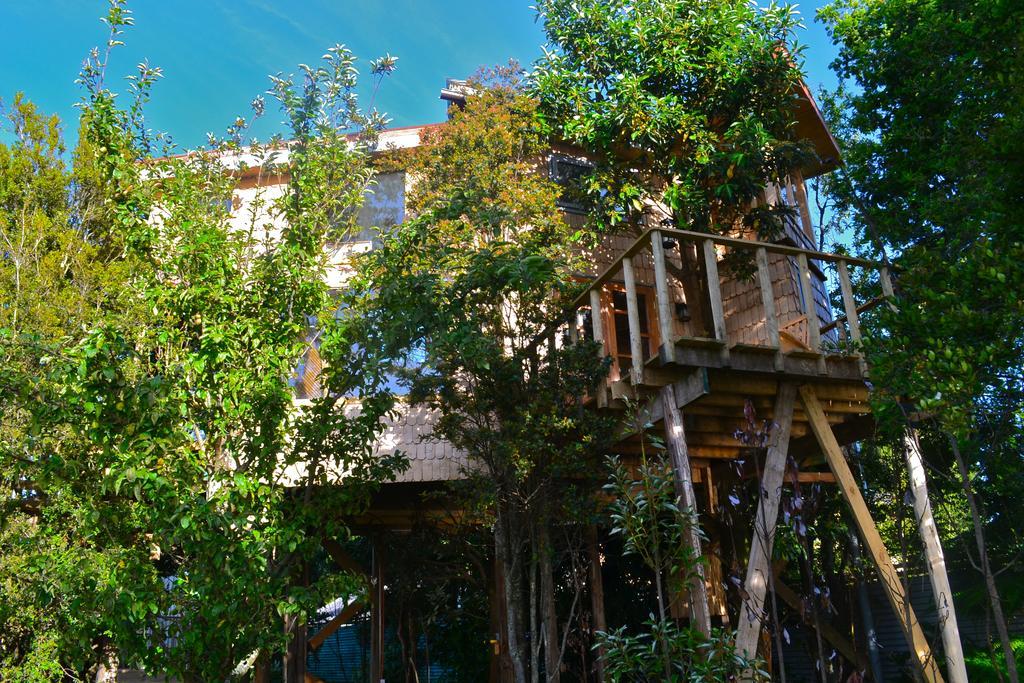 La Casa Del Árbol De Chiloé Villa Castro Kamer foto