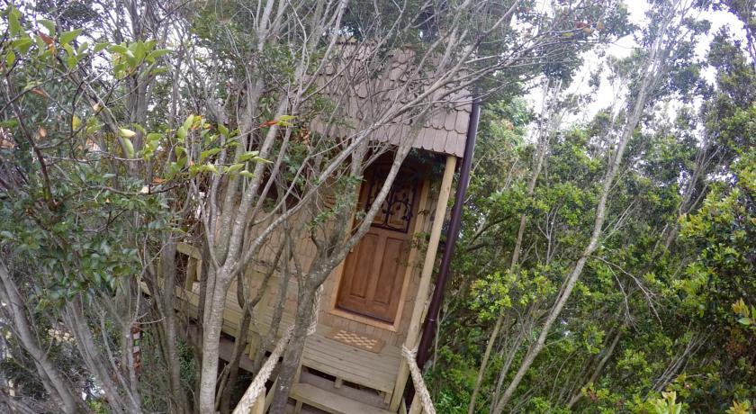 La Casa Del Árbol De Chiloé Villa Castro Kamer foto