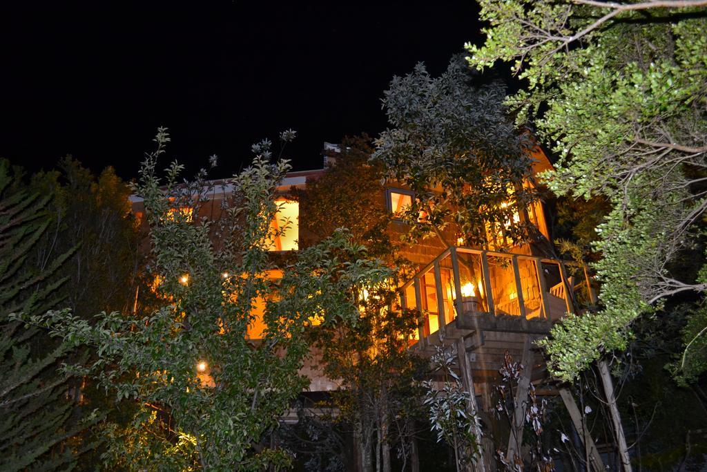 La Casa Del Árbol De Chiloé Villa Castro Buitenkant foto