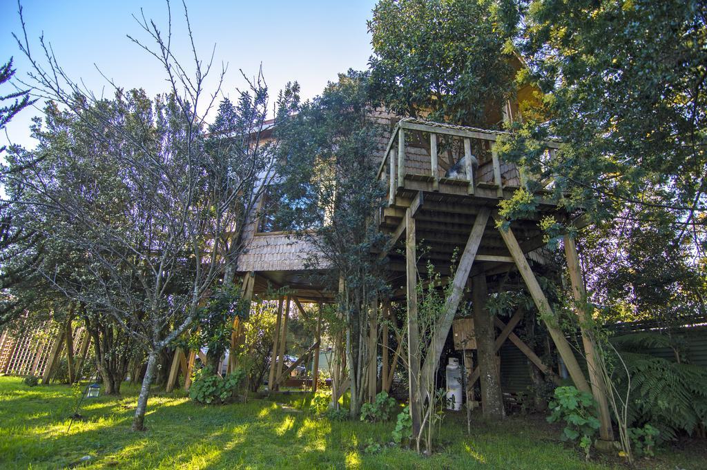 La Casa Del Árbol De Chiloé Villa Castro Buitenkant foto