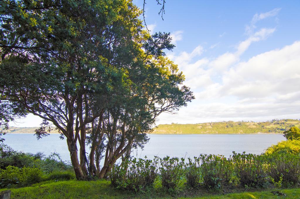 La Casa Del Árbol De Chiloé Villa Castro Buitenkant foto