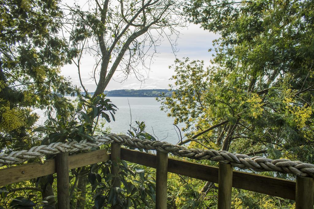 La Casa Del Árbol De Chiloé Villa Castro Buitenkant foto